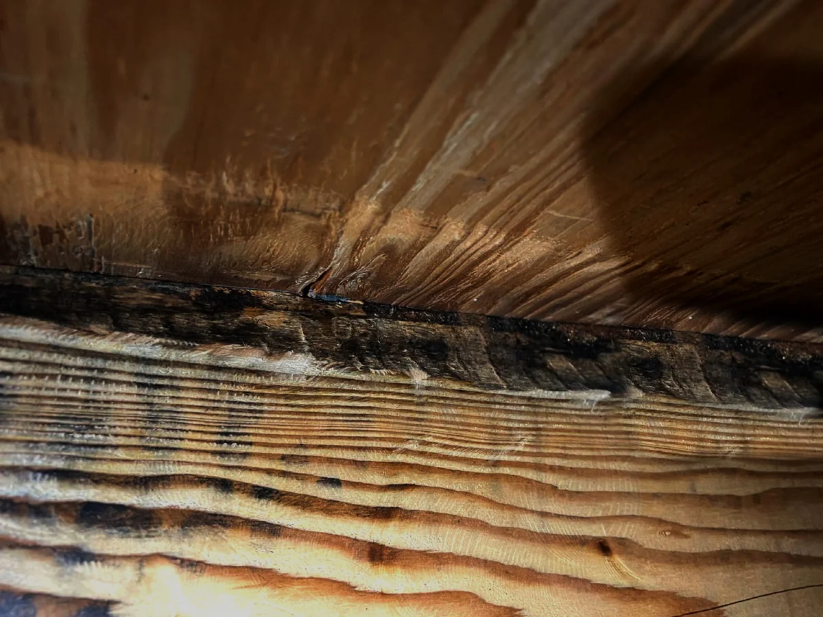 Mold and water staining on wood framing